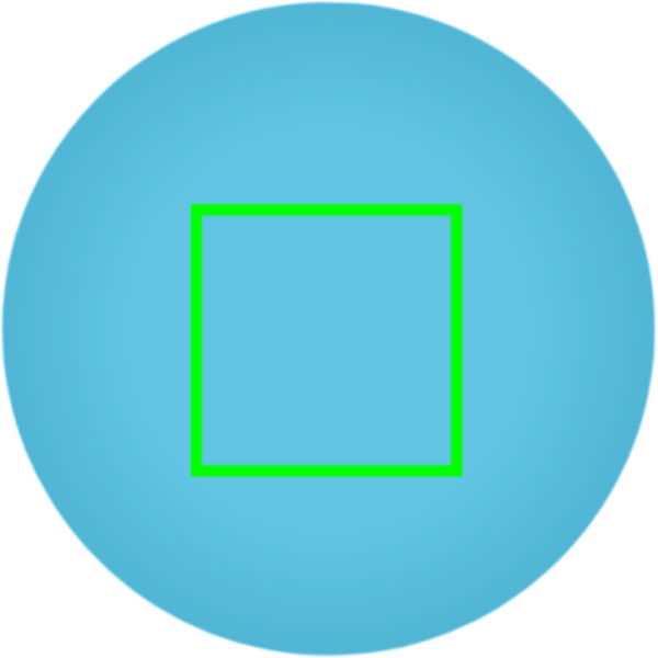 lid