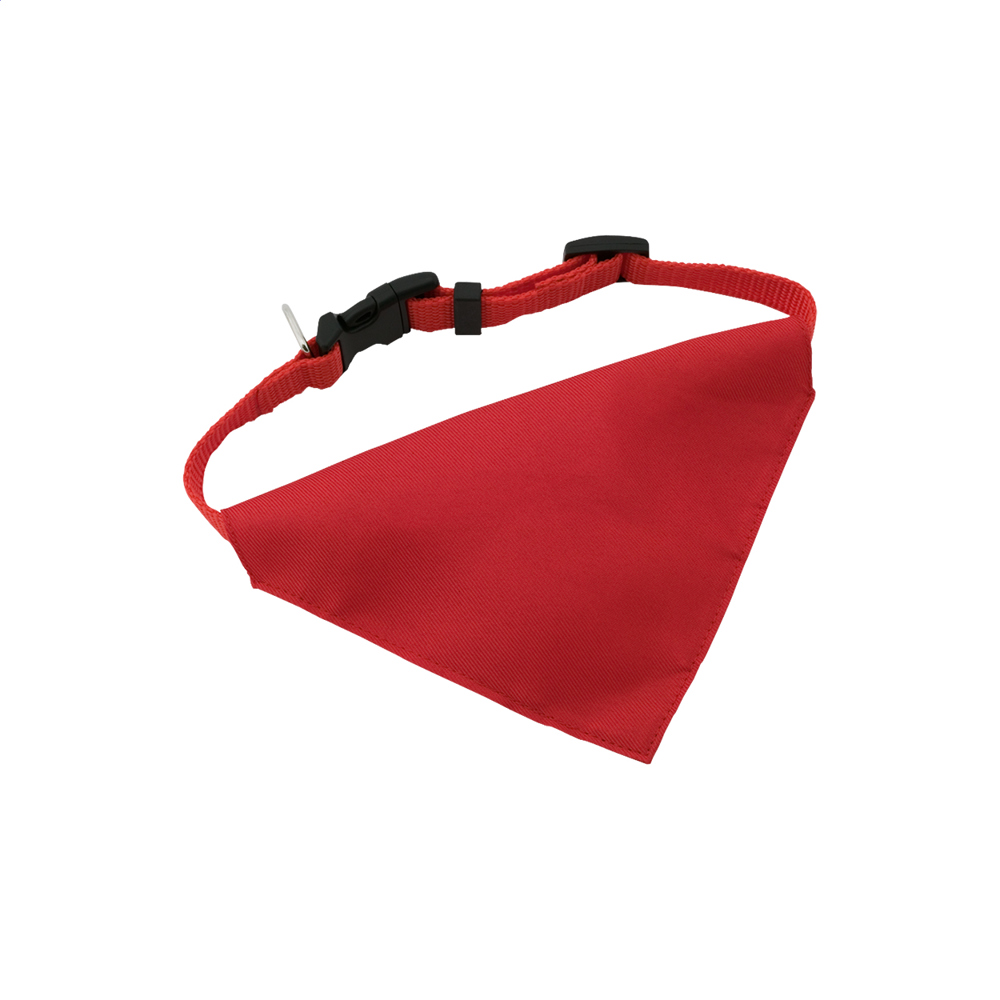 Bild Rex - Hundehalsband