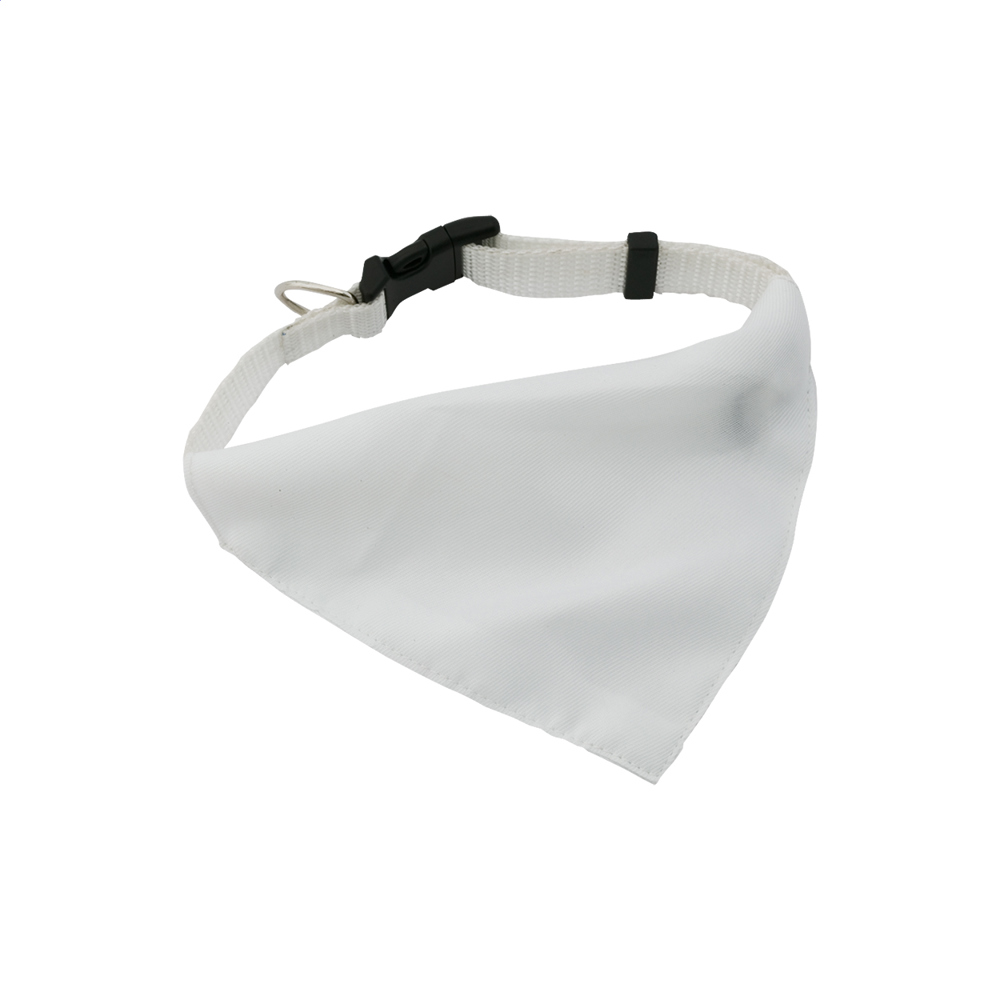 Bild Rex - Hundehalsband