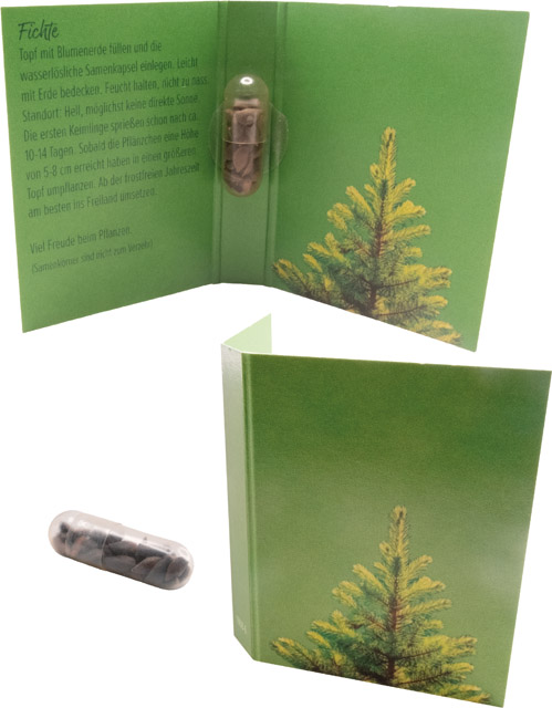 Bild Samenkapsel Blütenpracht, Kornblume, inkl. Digitaldruck 1-4/4c