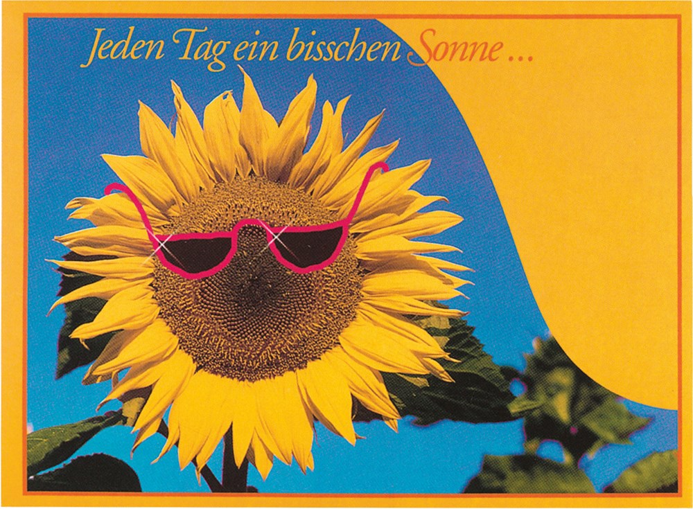 Bild Samen-Briefkarte Sonne 115 x 156 mm, Zwergsonnenblume